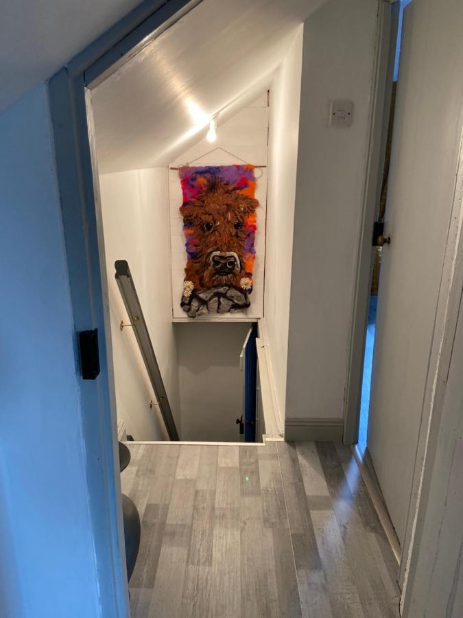 Katie'S Cottage Limerick Junction Extérieur photo