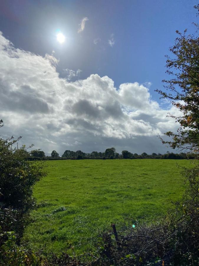 Katie'S Cottage Limerick Junction Extérieur photo