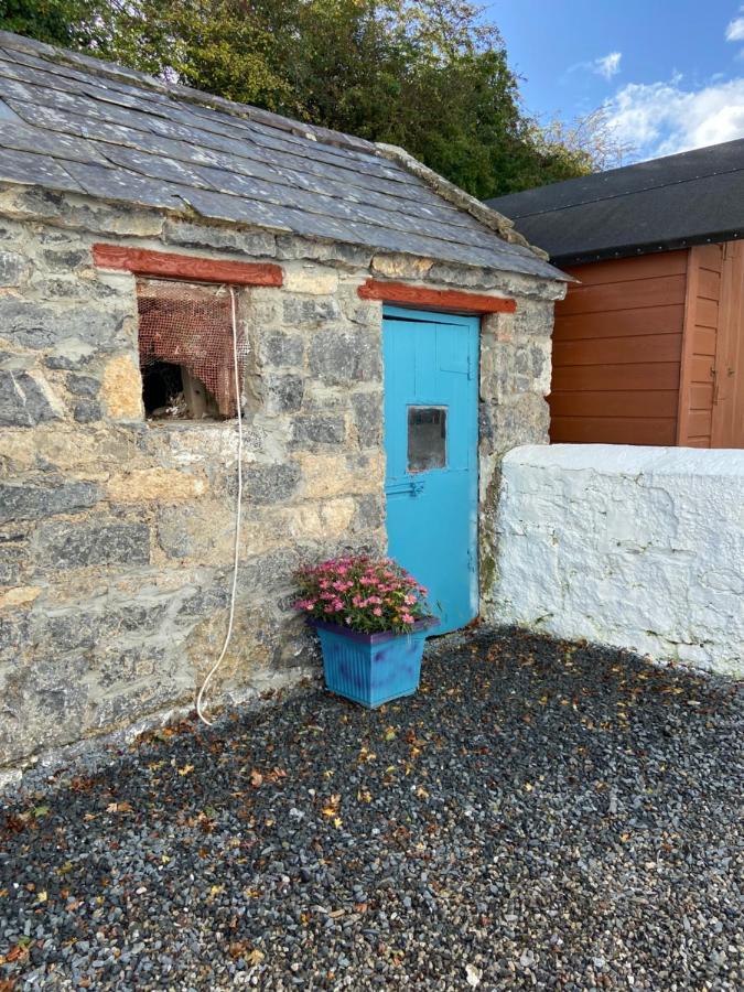 Katie'S Cottage Limerick Junction Extérieur photo
